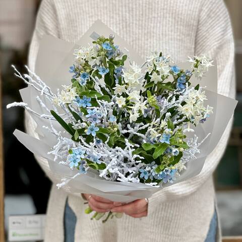 Delicate blue and white bouquet of daffodils and oxypetalum «Snowy morning», Flowers: Oxypetalum, Narcissus, Snow-covered twigs