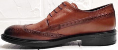 Классические коричневые мужские туфли кожаные Luciano Bellini C3801 Brown.