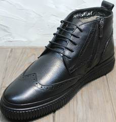 Зимние ботинки на шнуровке мужские Rifellini Rovigo C8208 Black