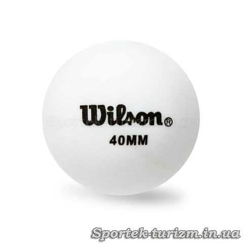 Мяч (тренировочный) для настольного тенниса Wilson