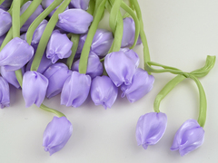 Тюльпани на стрічці бузкові