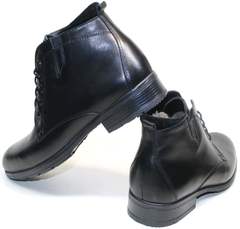 Качественные зимние ботинки мужские Ikoc 2678-1 S