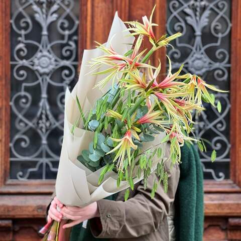 Bouquet «Winter bells», Flowers: Eucalyptus, Amaryllis, Herbs
