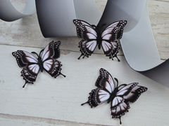 Метелики  вирізані чорно-білі №21
