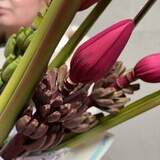 Photo of Exotic bouquet of banana blossoms «Amazon's Whim»