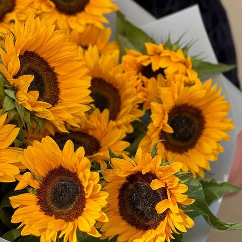 Photo of 15 sunflowers in a bouquet «Summer field»