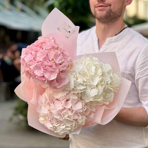 3 hydrangeas in a bouquet «Scoops of Ice cream», Flowers: Hydrangea, 3 pcs.