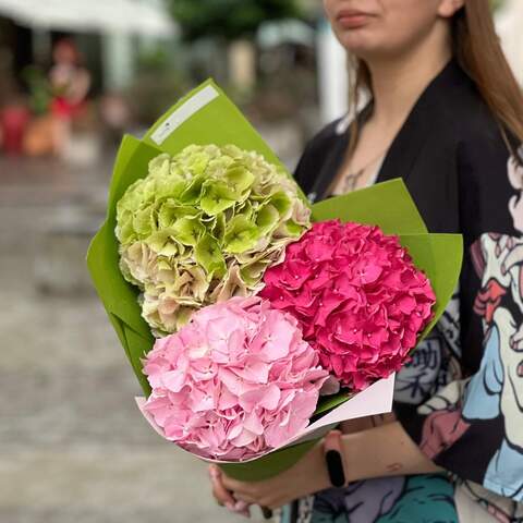 Bright hydrangeas in a bouquet «Watermelon Freshness», Flowers: Hydrangea, 3 pcs.