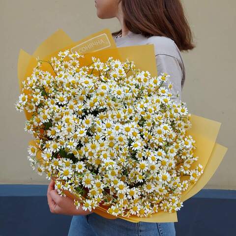 Bouquet «Twinkling Daisies», Flowers: Tanacetum