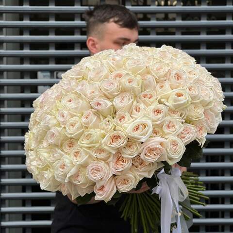 Photo of 151 fragrant peony roses White O'Hara