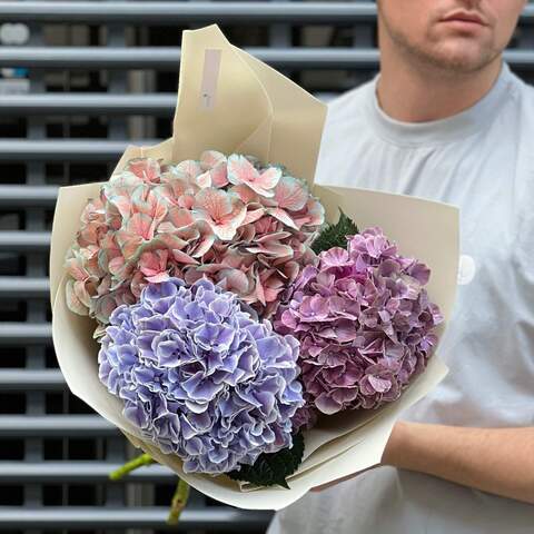 3 hydrangeas in a bouquet «Lavender shimmers», Flowers: Hydrangea