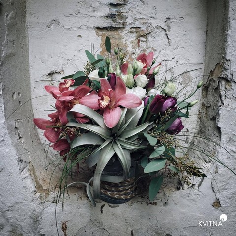 Interior Flower Arrangement with Tillandsia, Stylish composition of exotic flowers.