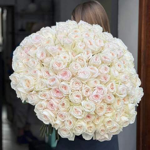 Photo of 151 fragrant peony roses White O'Hara