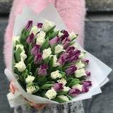 Photo of Mix of 39 tulips-kisses «Blueberries with cream»