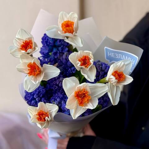 Photo of Fragrant bouquet of daffodils and hyacinths «Blue eyes»