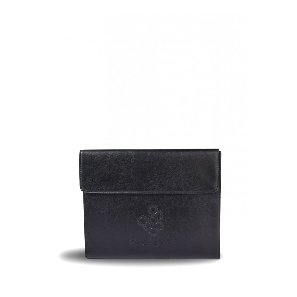Color Brush Kit (leather) | Набор черных кистей Framar в чехле