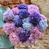 Photo of 25 hydrangeas in a bouquet «Lilac Waves»