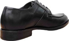 Черные туфли мужские модельные Luciano Bellini F823 Black Leather.