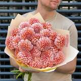 Photo of 25 dahlias in a bouquet «Creamy peach»