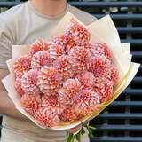 Photo of 25 dahlias in a bouquet «Creamy peach»
