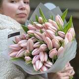 Photo of 47 Thijs Boots premium tulips in a bouquet «Spring Canddies»