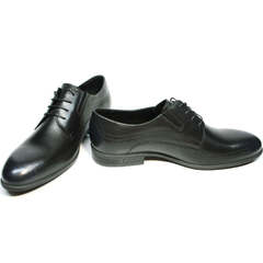 Кожаные туфли дерби броги мужские Ikos 3416-4 Dark Blue.