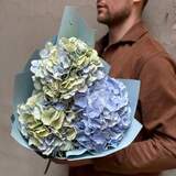 Photo of Three sky-blue hydrangeas in a bouquet «Light Nadiya»