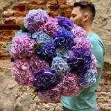 Photo of 25 hydrangeas in a bouquet «Lilac Waves»