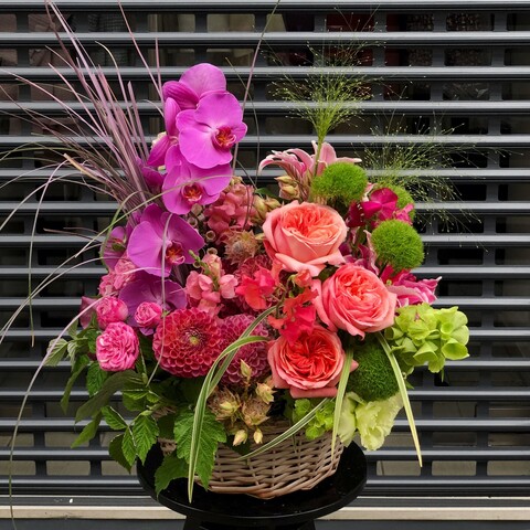 Flower basket «Fresh Berries», Flowers: Dahlia, Antirinum, Pion-shaped rose, Phalaenopsis, Bergras, Lilium, Dianthus, Molucella