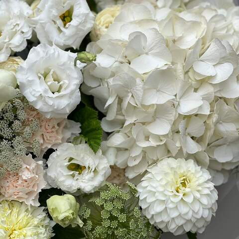 Photo of Light bouquet with hydrangea «Favorite Pearl»