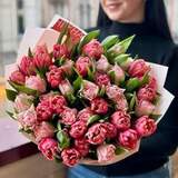 Photo of Bright mix of peony shaped tulips in two colors «March Duet»