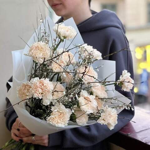 Delicate bouquet of dianthus «Pearl», Flowers: Dianthus, Genista