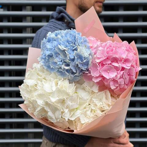 5 hydrangeas in a bouquet «Delicate colors», Flowers: Hydrangea