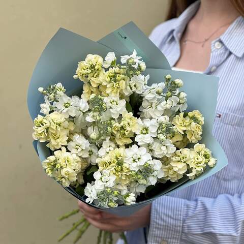 15 matthiolas in a bouquet «Delicate aroma», Flowers: Matthiola