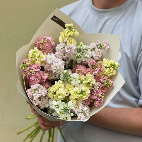 21 matthiolas in a bouquet «Fragrant mix», Flowers: Matthiola