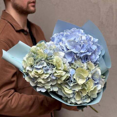 Photo of Three sky-blue hydrangeas in a bouquet «Light Nadiya»