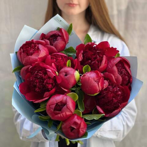 11 peonies in a bouquet «Royal red», Flowers: Paeonia