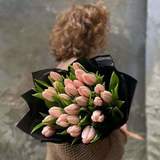 Photo of 25 premium tulips «Thijs Boots»