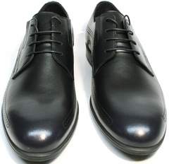 Мужские туфли дерби броги Ikos 3416-4 Dark Blue.