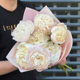 Photo of 7 peonies in a bouquet «Ice cream»