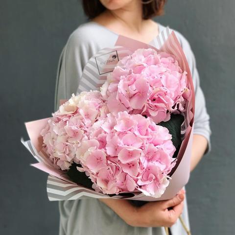 3 pink hydrangeas, Bouquet of 3 Hydrangeas