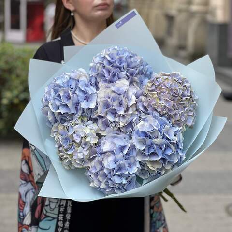 7 blue hydrangeas in a bouquet «Stormy Svitiaz», Flowers: Hydrangea, 7 pcs.