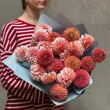 Photo of Mix of 27 dahlias of Brown Sugar and Peaches N’ Cream varieties in a bouquet «Floral Spice»