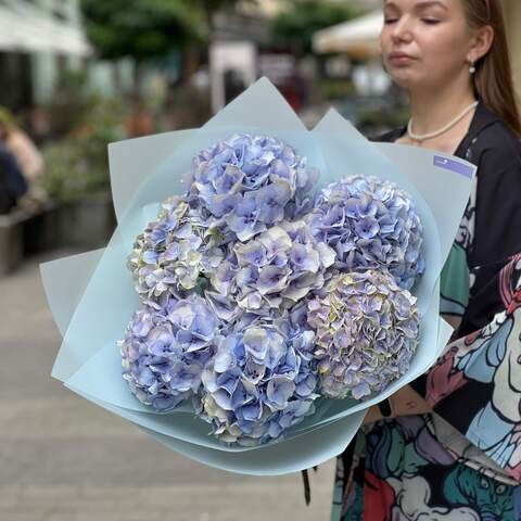 Photo of 7 blue hydrangeas in a bouquet «Stormy Svitiaz»