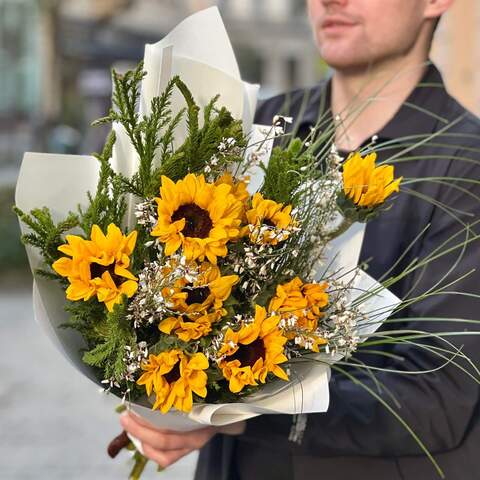 Bright fragrant bouquet of sunflowers and genista «Honey morning», Flowers: Helianthus, Genista, Bergras, Cryptomeria