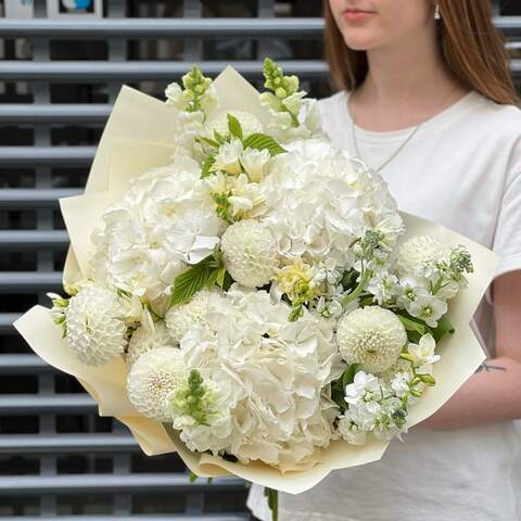 Bouquet «White vanilla», Flowers: Hydrangea, Dahlia, Freesia, Matthiola, Antirinum