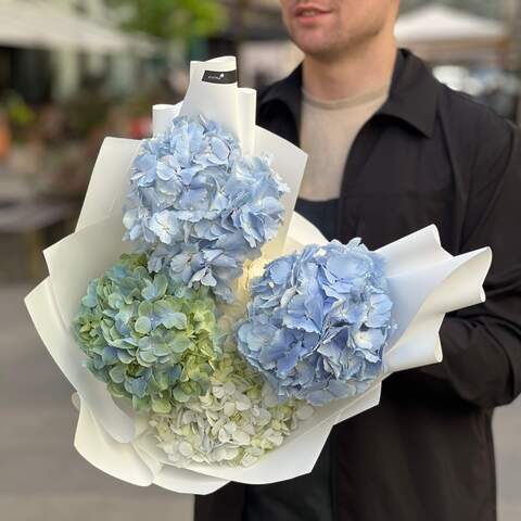 Mix of 5 blue-white hydrangeas «Free Sky», Flowers: Hydrangea, 5 pcs.