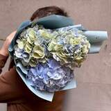 Photo of Three sky-blue hydrangeas in a bouquet «Light Nadiya»