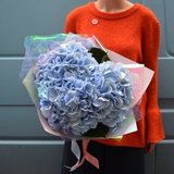 Photo of 3 blue hydrangeas in a bouquet «Charming clouds»