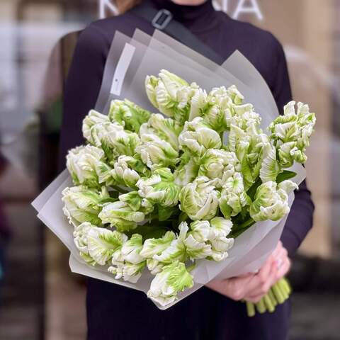 Fantastic bouquet of 29 tulips «Green Parrot», Flowers: Parrot tulips